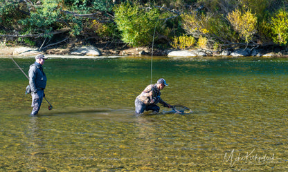 Z Series Neoprene Stealth Camo Pant - Unisex